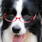 シリウス(sirius)特典コンサルティングサポートの詳細